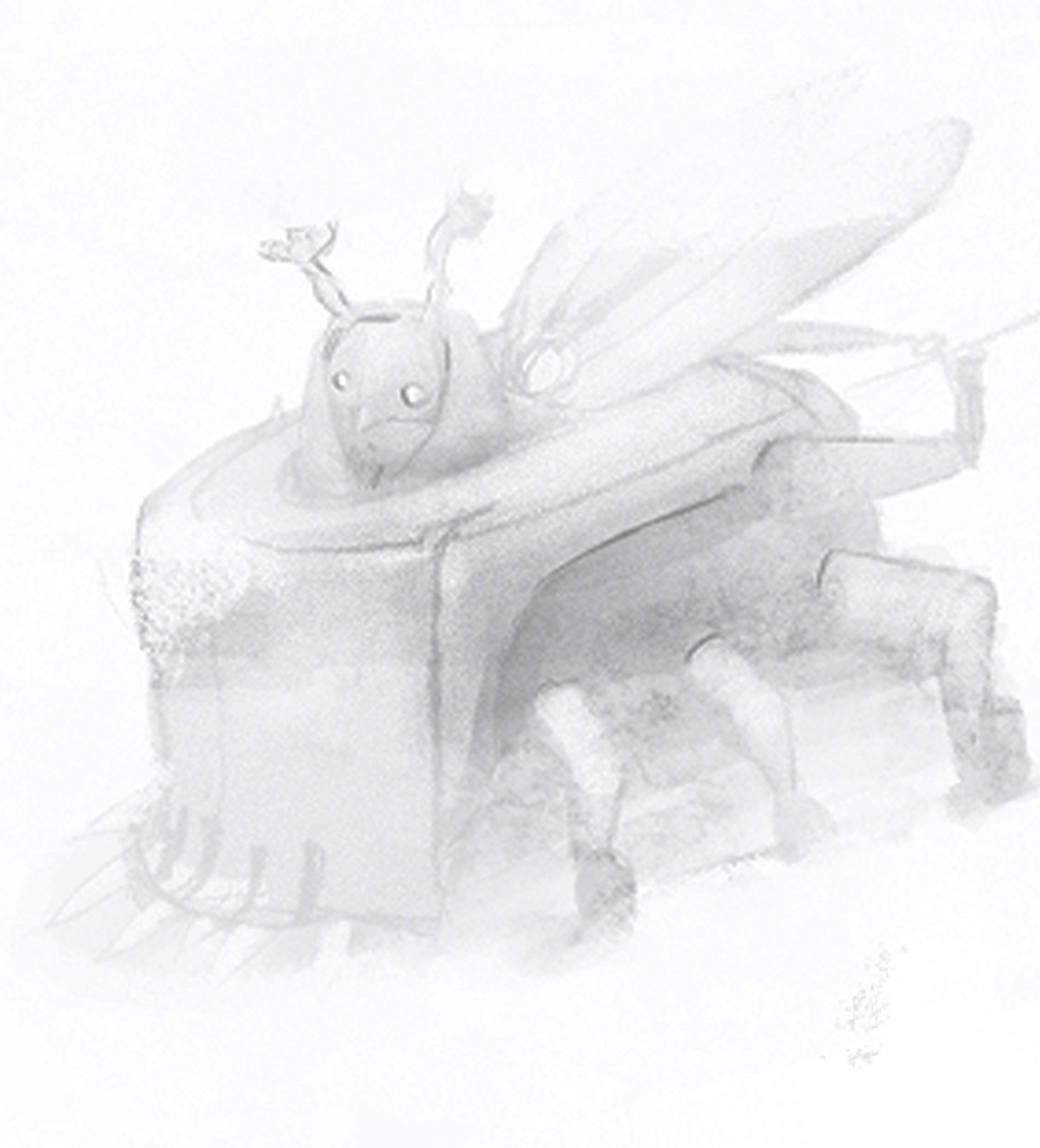 Brouillard — véhicule-insecte
